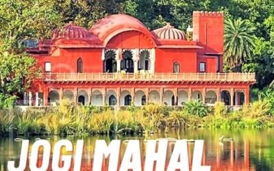 Jogi Mahal Ranthambore: How To Reach, When to Visit & Tips