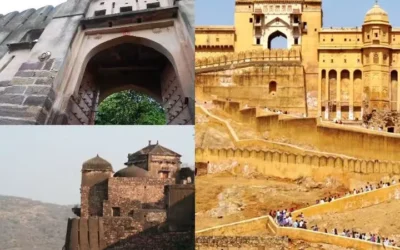 Explore the Historical Ranthambore Fort and more