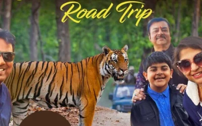 Journey from Jaipur to Ranthambore: Your Ultimate Travel Guide